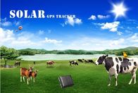 Sim card gps solar tracking system with free software mini gps tracker waterproof for cow/