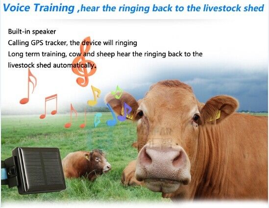Animal tracking device for cow tracker gps sos button/alarm waterproof solar wireless char